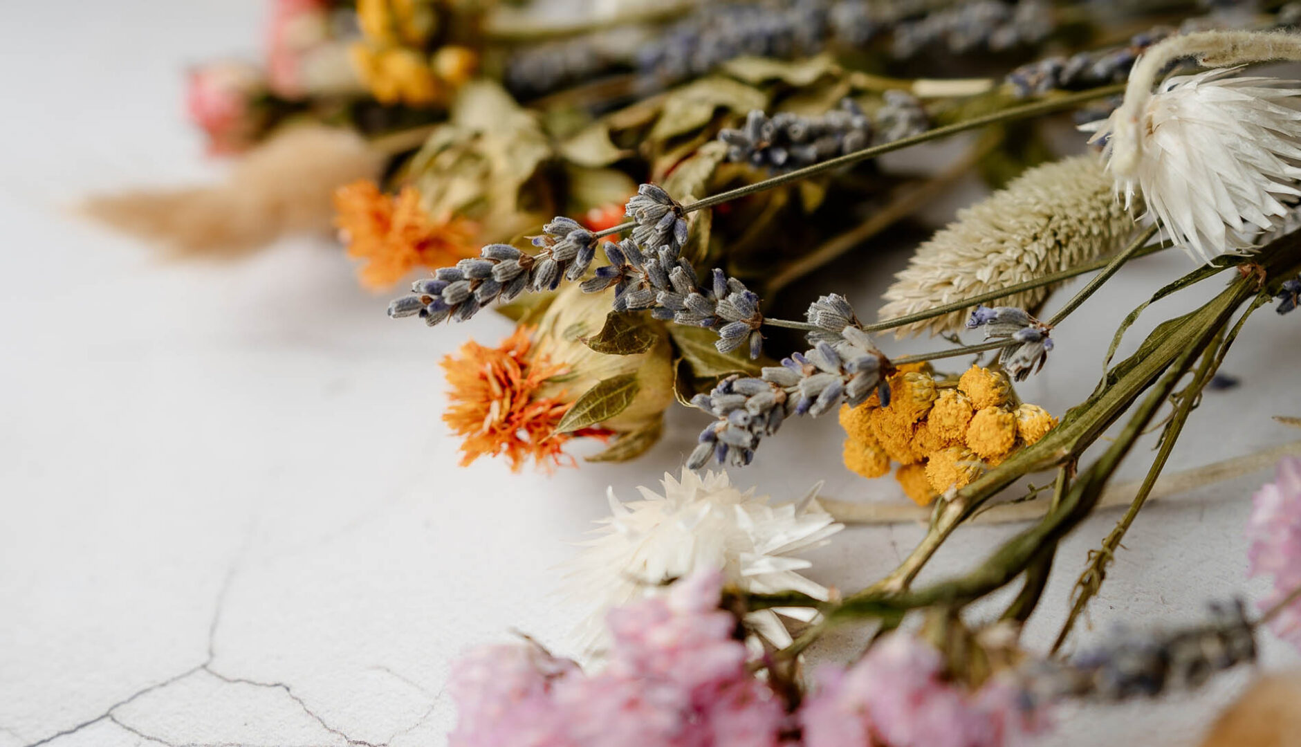Boutique en ligne