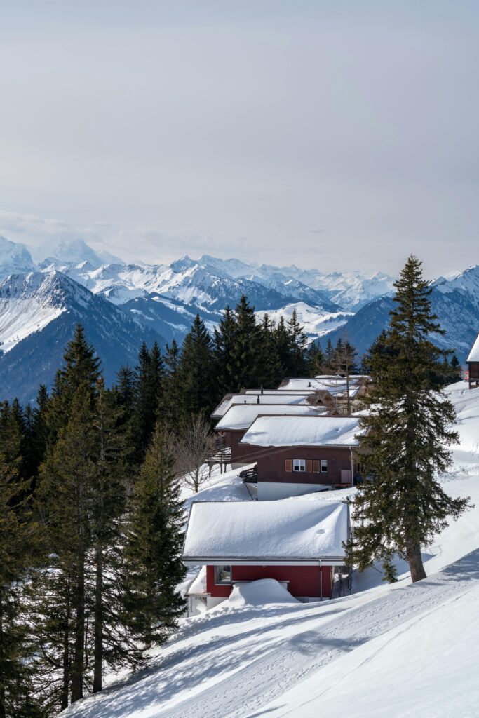 pexels-photo-28179110-28179110